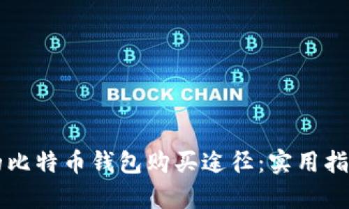 寻找最划算的比特币钱包购买途径：实用指南与平台推荐