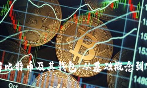深入了解比特币及其钱包：从基础概念到实用技巧