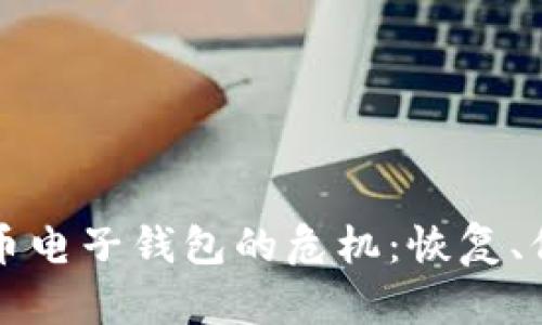 如何应对丢失比特币电子钱包的危机：恢复、保护与预防全面指南