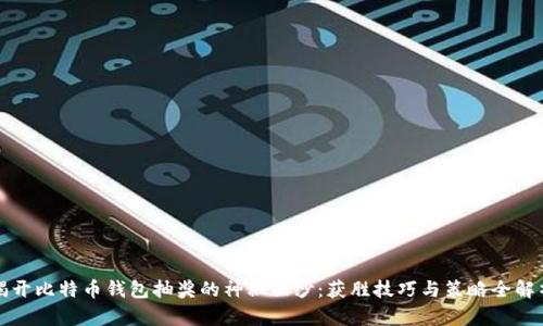 揭开比特币钱包抽奖的神秘面纱：获胜技巧与策略全解析