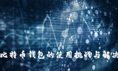 解析比特币钱包的使用挑战与解决方案