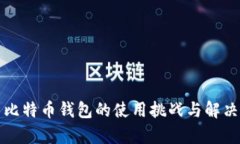 解析比特币钱包的使用挑战与解决方案