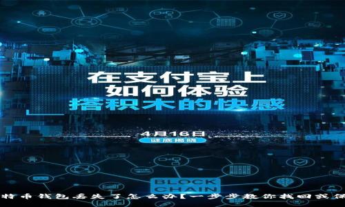 如果比特币钱包丢失了怎么办？一步步教你找回或保护资产
