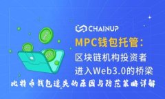 比特币钱包遗失的原因与防范策略详解