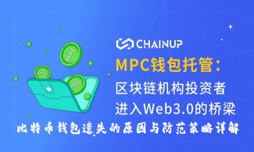 比特币钱包遗失的原因与防范策略详解