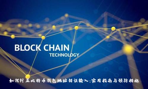 如何纠正比特币钱包地址错误输入：实用指南与预防措施