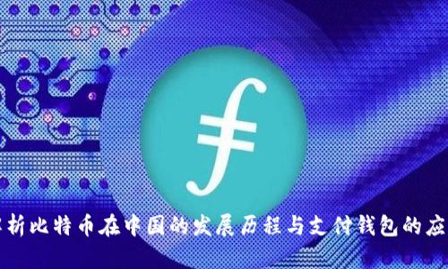 深入解析比特币在中国的发展历程与支付钱包的应用现状