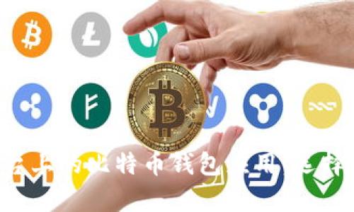 全面解析安卓平台上的比特币钱包应用：选择、使用与安全保障