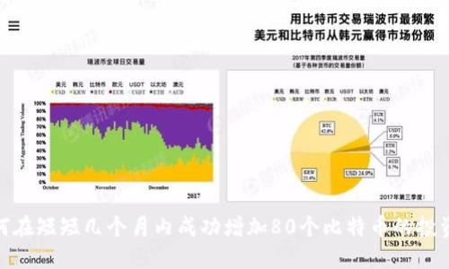 : 如何在短短几个月内成功增加80个比特币的投资策略