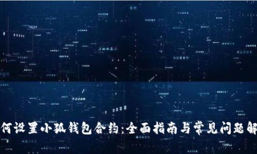 如何设置小狐钱包合约：全面指南与常见问题解答