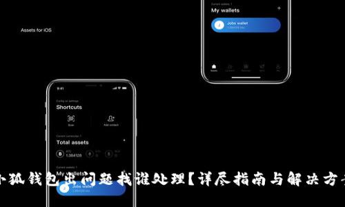 小狐钱包出问题找谁处理？详尽指南与解决方案