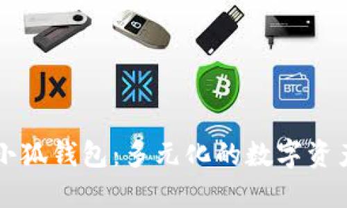 全面解读小狐钱包：多元化的数字资产管理平台