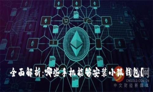 全面解析：哪些手机能够安装小狐钱包？