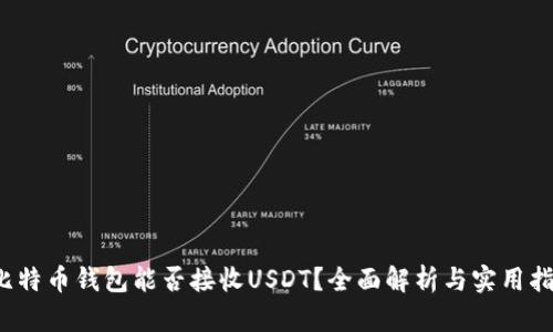  比特币钱包能否接收USDT？全面解析与实用指南