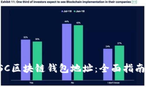 如何查询BSC区块链钱包地址：全面指南与最佳实践