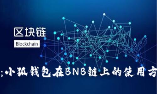 全面解析：小狐钱包在BNB链上的使用方法与技巧