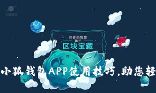 : 深入解析小狐钱包APP使用技巧，助您轻松管理财富