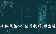 : 深入解析小狐钱包APP使用技巧，助您