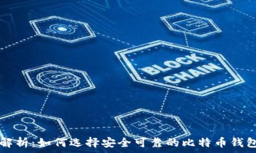   
全面解析：如何选择安全可靠的比特币钱包官网