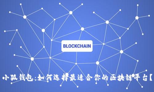 小狐钱包：如何选择最适合你的区块链平台？
