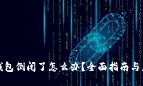 区块链钱包倒闭了怎么办？全面指南与应对策略