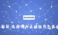全面解析：选择哪种区块链钱包最安全