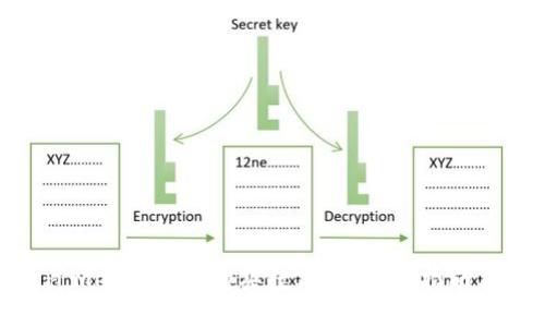 : 如何通过MetaMask购买数字猫：详细指南与实用技巧