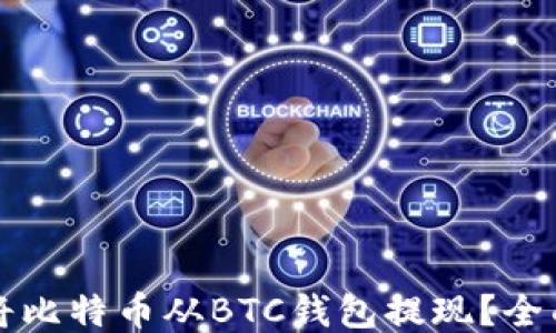 
如何将比特币从BTC钱包提现？全面指南