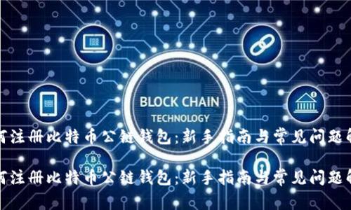如何注册比特币公链钱包：新手指南与常见问题解答

如何注册比特币公链钱包：新手指南与常见问题解答