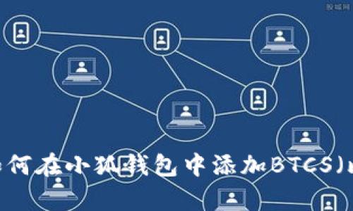 全面解析：如何在小狐钱包中添加BTCS（比特币现金）