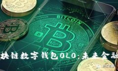 全面解析区块链数字钱包0L0：未来金融