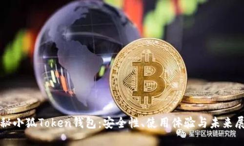 探秘小狐Token钱包：安全性、使用体验与未来展望