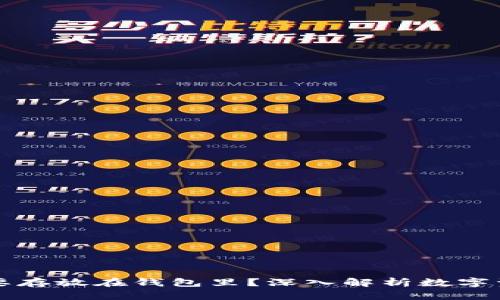 为什么比特币需要存放在钱包里？深入解析数字资产的安全与管理